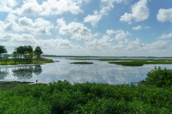 Lake Tohopekaliga